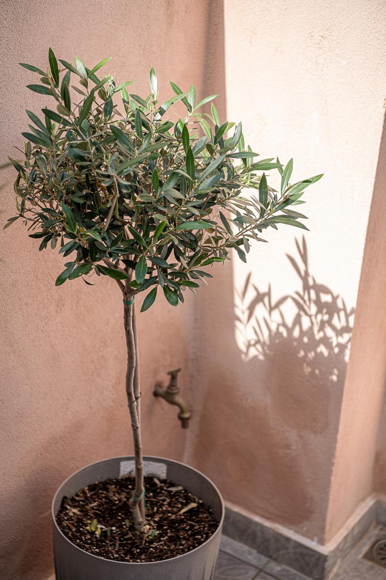 Hotel Porto Vecchio à La Canée Extérieur photo